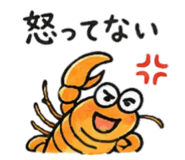 854626497