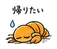 854626505