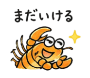 854626511