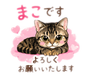 854627281