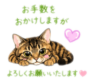 854627286