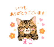 854627288