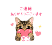 854627295