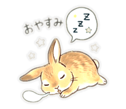 854627420