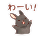 854628254