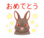 854628256