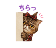 854629345