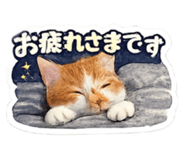 854630024