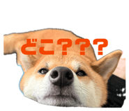 854632019