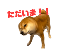 854632033
