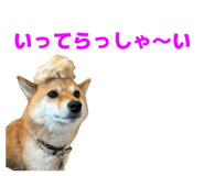 854632035