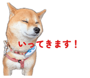 854632036