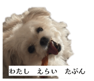 854632226