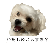 854632230