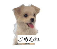 854632231