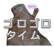 854633264