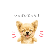 854633808