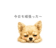 854633809