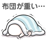 854635306