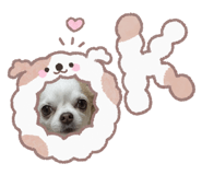 854638554
