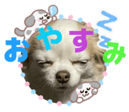 854638560