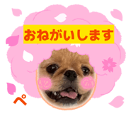 854639450