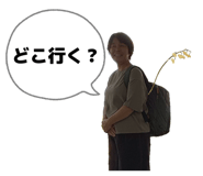 854640362