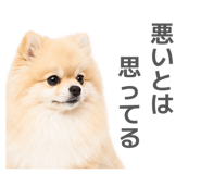 854640492