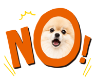 854640497