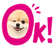 854640498
