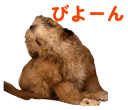 854641699