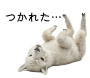 854641791