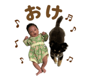 854642812