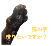 854644011