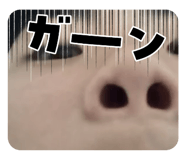 854644169