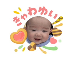854644388