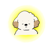 854644656
