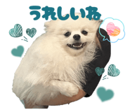 854645436