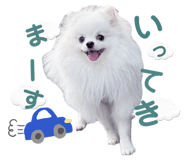 854645443