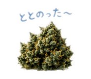 854646600