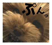 854646628