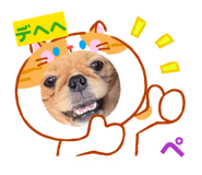 854646780