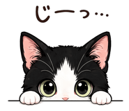 854647671