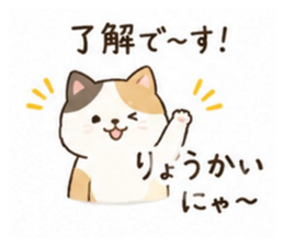 854647797