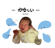 854649086