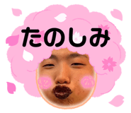 854650561