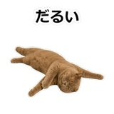 854651346