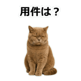 854651348