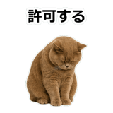 854651352