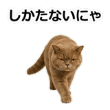 854651355